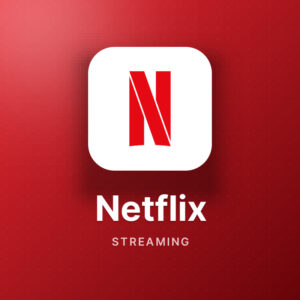 Netflix Single Screen – 2 Months